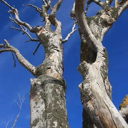 شقة Thorsten Frundt بريرو